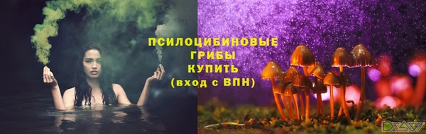 прущая мука Осташков