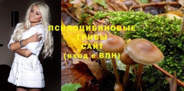 Альфа ПВП Остров