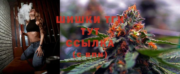 спайс Осинники