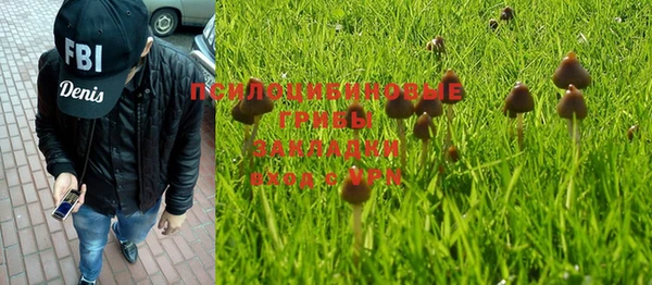 прущая мука Осташков