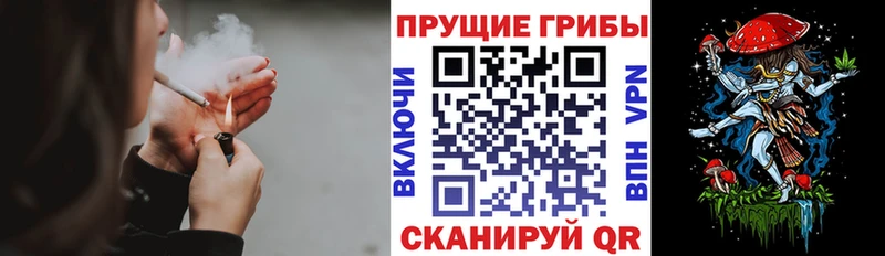 Псилоцибиновые грибы Psilocybine cubensis  Купить  Козельск 
